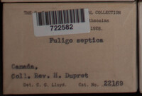 Image Associated With the Occurence